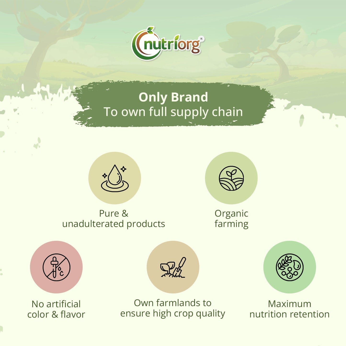 Nutriorg Certified Organic Apple Cider Enriched with Mother Vinegar 500ml with Organic High Altitude Honey 250g