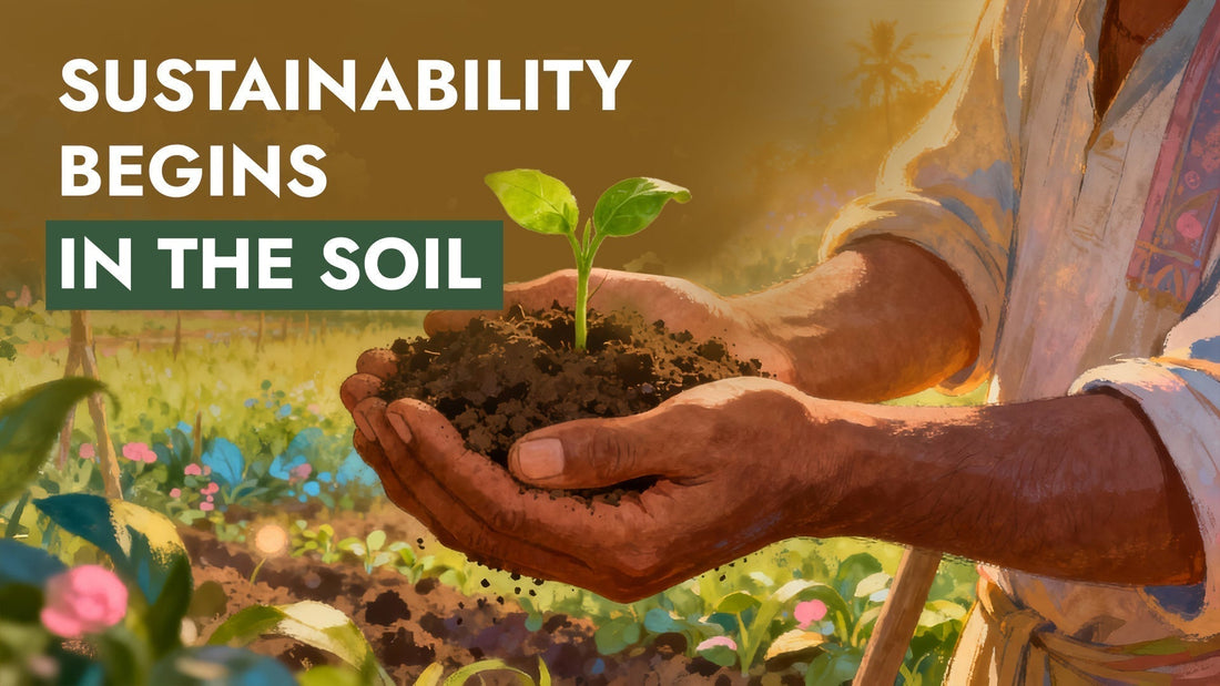 sustainability-beings-in-the-soil