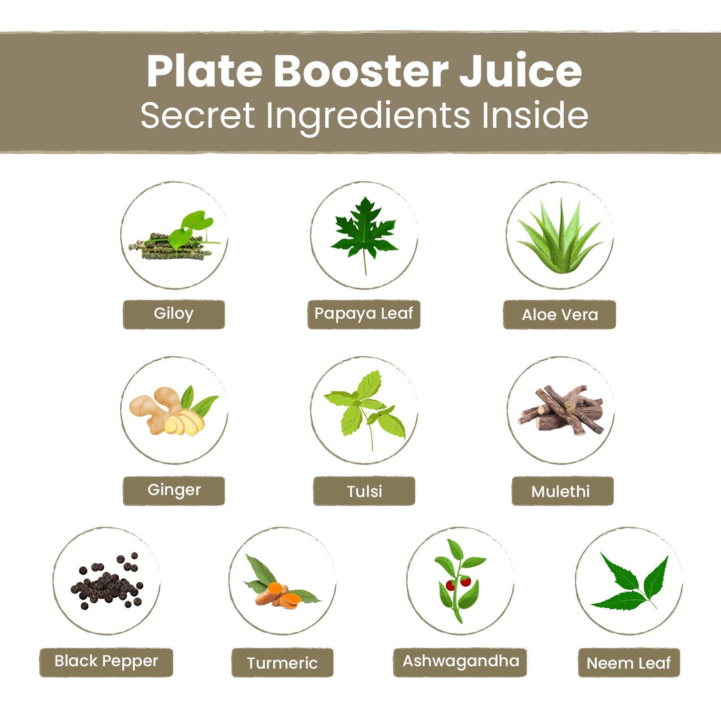 Nutriorg Plate booster Juice 500ml