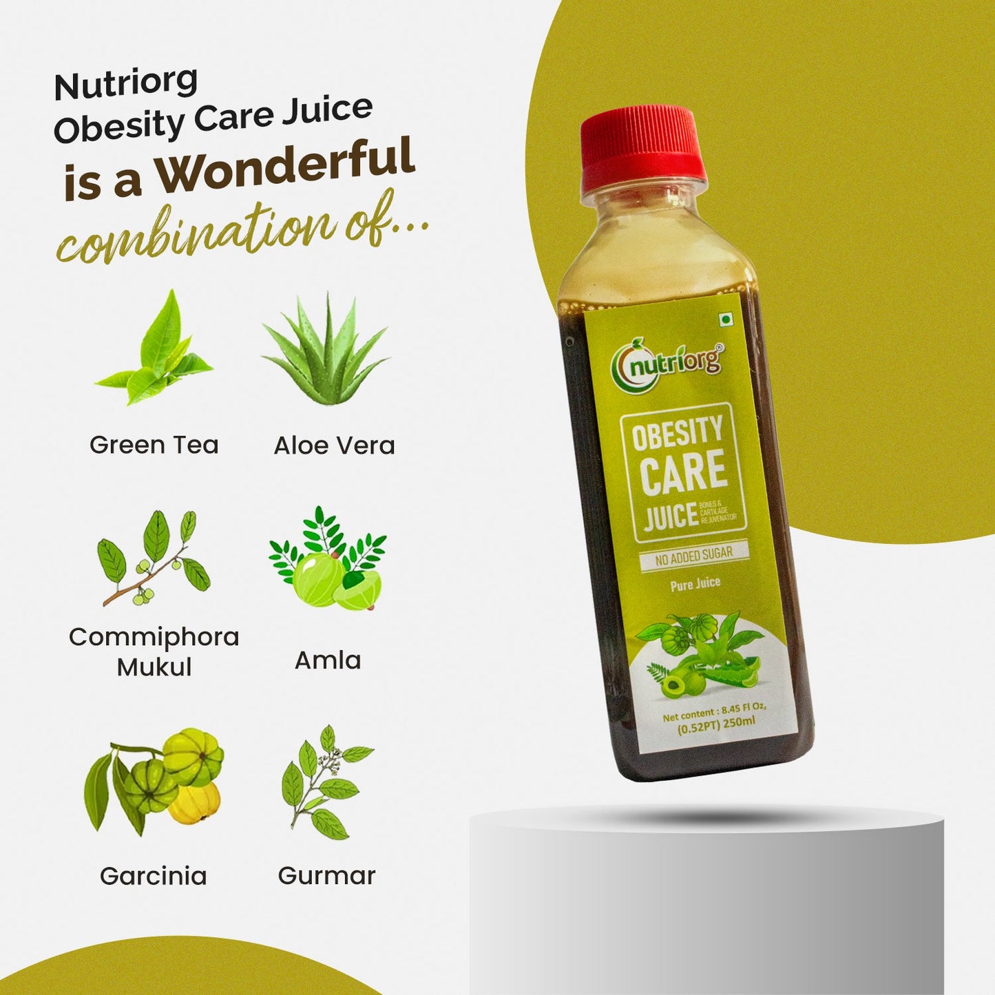 Nutriorg Obesity Juice 250ml