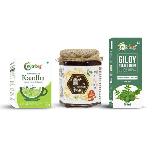Nutriorg Ayush Kwath Kaadha 100g & Giloy Neem Tulsi 500ml with Certified Organic High Altitude Honey 250g(Combo of 3)